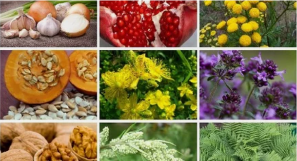 Treatment of parasites in the human body with popular remedies